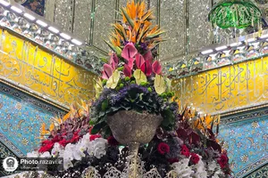 گل&zwnj;آرایی ضریح مطهر رضوی به مناسبت اعیاد شعبانیه