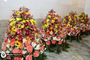 آماده&zwnj;سازی گل&zwnj;های حرم مطهر رضوی در دهه کرامت