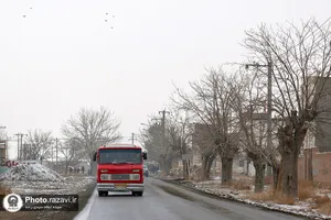 جشن عبادت دختران روستای گوارشک در حرم مطهر رضوی