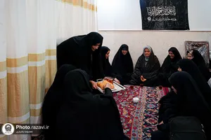 از خاک راه تا آستان رضا علیه&zwnj;السلام