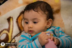 مناجات خوانی سحر&zwnj;گاهی حاج محمود کریمی در حرم مطهر رضوی