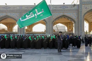 عزاداری هیئت عالم آل محمد(علیه&zwnj;السلام)