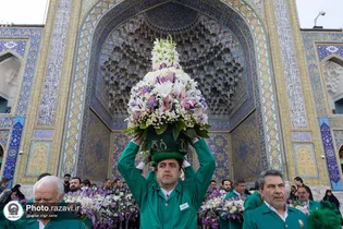 جلوه‌گری۵۰ هزار شاخه گل نذری در صحن و سرای رضوی