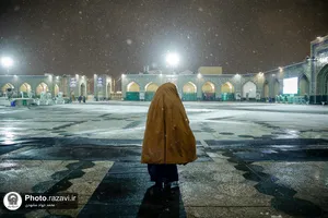 بارش برف شبانگاهی در حرم مطهر رضوی