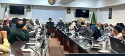 نشست تخصصی انقلاب ایران پرتویی از انقلاب مهدی (عج)  در حرم مطهر رضوی برگزار شد