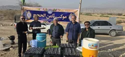 شهرستان مهر؛ تجلی‌گاه عشق و وفاداری به امام رضا (ع)