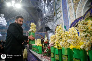 اهدای 8 هزار شاخه گل نرگس به حرم مطهر رضوی
