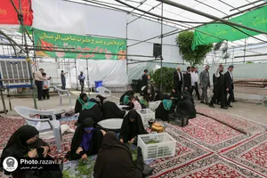 بازدید قائم مقام تولیت آستان قدس رضوی از مواکب خدمت رسان به زائرین امام رضا علیه&zwnj;السلام در دهه کرامت