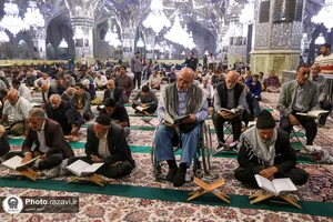 کرسی تلاوت رضوی در جوار عترت