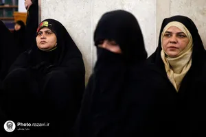 کوثر محبت