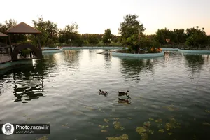 اردوی تفریحی منتخب بهورزان و مراقبان سلامت