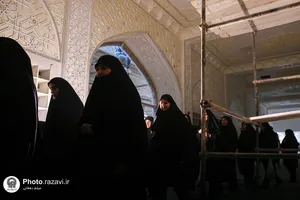 دانلود کامل گزارش تصویری بدون برچسب