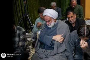 تشرف خانواده شهدای جنگ ۱۲ روزه به حرم امام رضا علیه&zwnj;السلام
