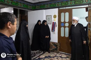دیدار تولیت 