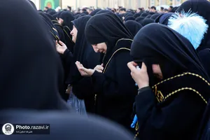 عزاداری هیئت عالم آل محمد در دهه آخر صفر-3