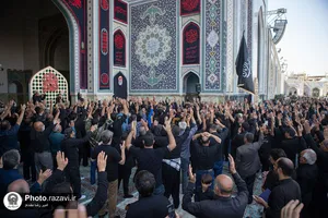 اجتماع عظیم عزاداران امام رضا علیه السلام در حرم مطهر رضوی