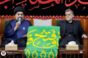 تشرف کاروان سفیران امام رئوف علیه&zwnj;السلام به حرم امیرالمؤمنین علیه&zwnj;السلام
