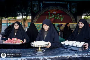 موکب کبوتران حضرتی خدام&zwnj;الائمه علیهم&zwnj;السلام
