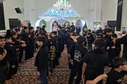 هم نوایی نوجوانان اردو زبان با قاسم بن الحسن (ع) در آیین «احلی من العسل»