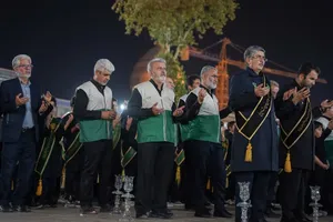 لاله&zwnj;گردانی خادم&zwnj;یاران فارس در سوگ امام رضا (ع) + تصاویر