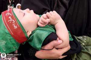 همایش "شیرخوارگان حسینی" در حرم مطهر رضوی-1