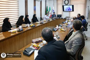 دانشگاه