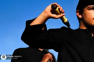 نمایشگاه عکس آرام جان
