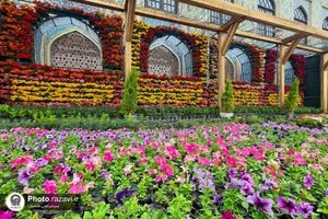 حال و هوای حرم مطهر رضوی در ایام میلاد حضرت معصومه سلام الله علیها