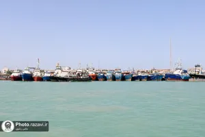 حضور کاروان زیر سایه خوردشید در استان بوشهر