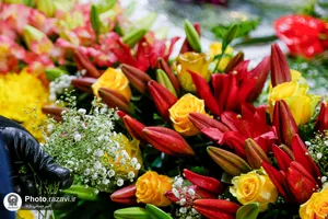 گل آرایی حرم حضرت معصومه سلام الله علیها