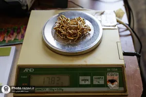 ویژه برنامه لبنان در پناه امام رئوف-1