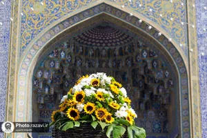 گل&zwnj;آرایی حرم مطهر رضوی در آستانه نیمه شعبان