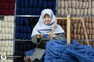 بازدید اعضای فرهنگستان هنر از کارخانه فرش آستان قدس رضوی