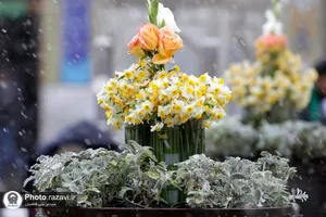 بارش برف در حرم مطهر رضوی