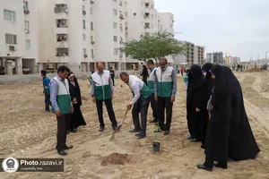 کاشت درخت مثمر در شهر بندرعباس