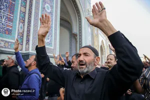 اجتماع عزاداران نبوی و حسنی