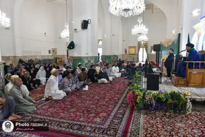 نشست تخصصی سیره سیاسی و اجتماعی امام رضا علیه&zwnj;السلام ویژه زائران اردو زبان