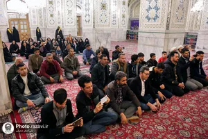 تشرف متصدیان مجتمع&zwnj;های بین راهی امام رضا(ع) به حرم مطهر رضوی
