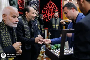 تشرف کاروان سفیران امام رئوف علیه&zwnj;السلام به حرم امیرالمؤمنین علیه&zwnj;السلام
