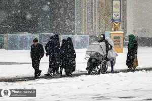 خدمت&zwnj;رسانی به زائران حرم مطهر رضوی در بارش برف