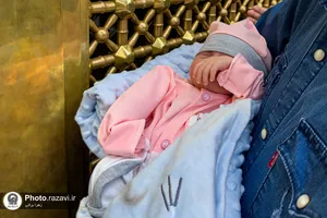 قطعه&zwnj;ای از بهشت؛ صحن جمهوری