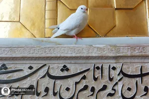 زیارت در قطعه&zwnj;ای از بهشت