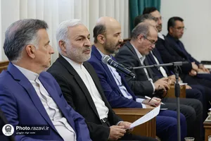 کارگروه امام رضا علیه&zwnj;السلام