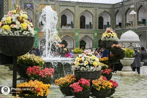 در این قطعه از بهشت-1