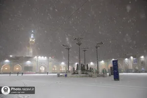 بارش برف پاییزی در حرم مطهر رضوی