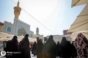 تشرف اعضای هیأت علمی دانشگاه&zwnj;های مشهد به حرم مطهر رضوی