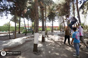 اردوی فرهنگی تفریحی کارکنان خدمات فرش حرم مطهر رضوی