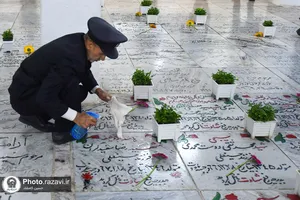 غبارروبی مزار شهدای مدفون در حرم مطهر رضوی
