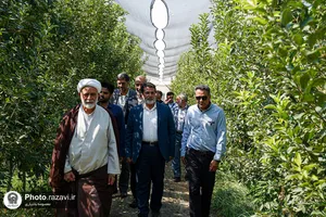بازدید کارکنان آستان قدس رضوی از مزرعه نمونه