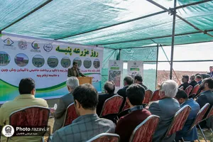 نشست مدیران و فعالان صنعت پنبه کشور